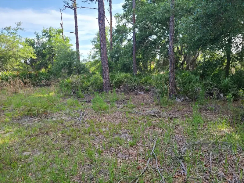 8436 N Erin Dr, FL
