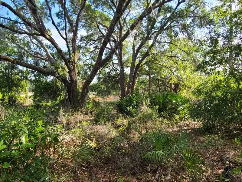 8436 N Erin Dr, FL