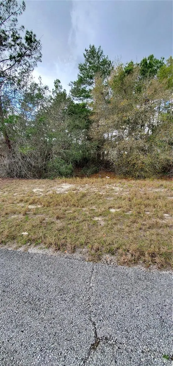 1428 Hillsborough Dr, FL