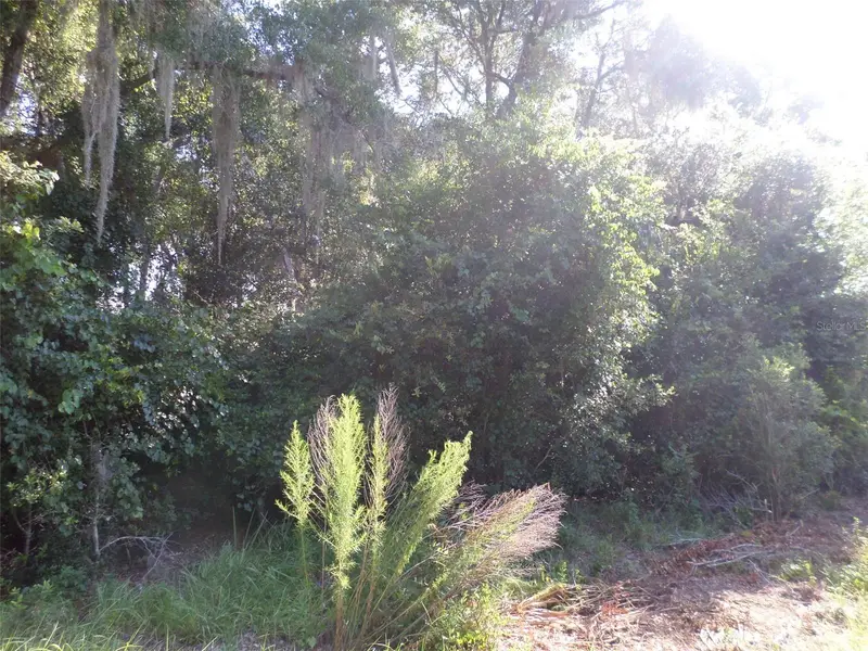 00 W. Highway 40, FL
