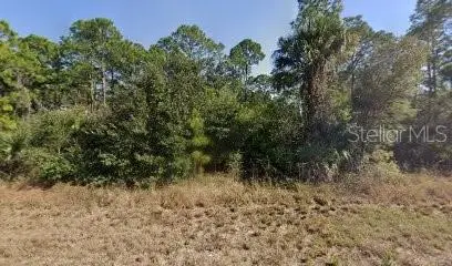 717 Brooklyn Loop, FL