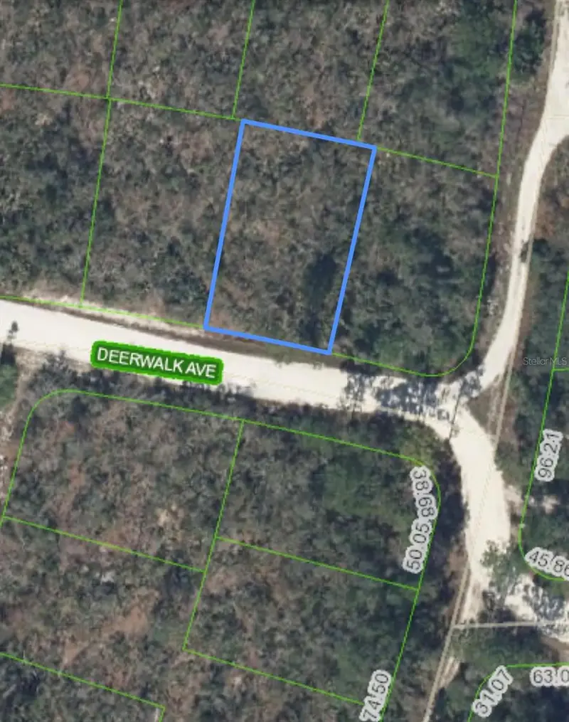 284 Deerwalk Ave, FL