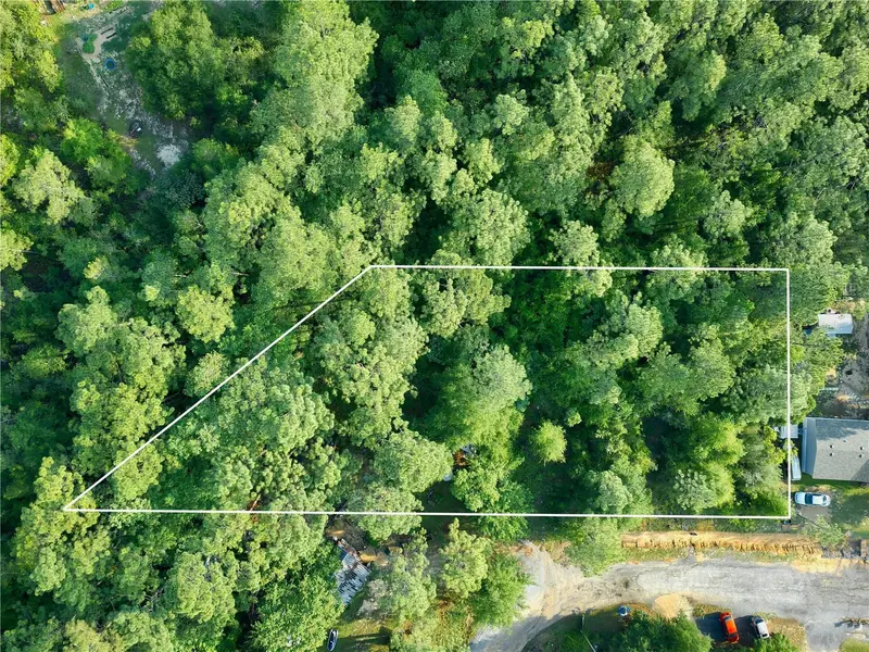 Pinetree Ln, FL
