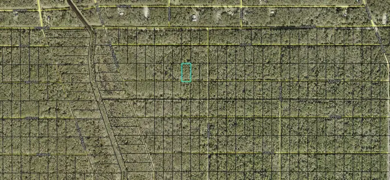 Xx Fagan St, FL