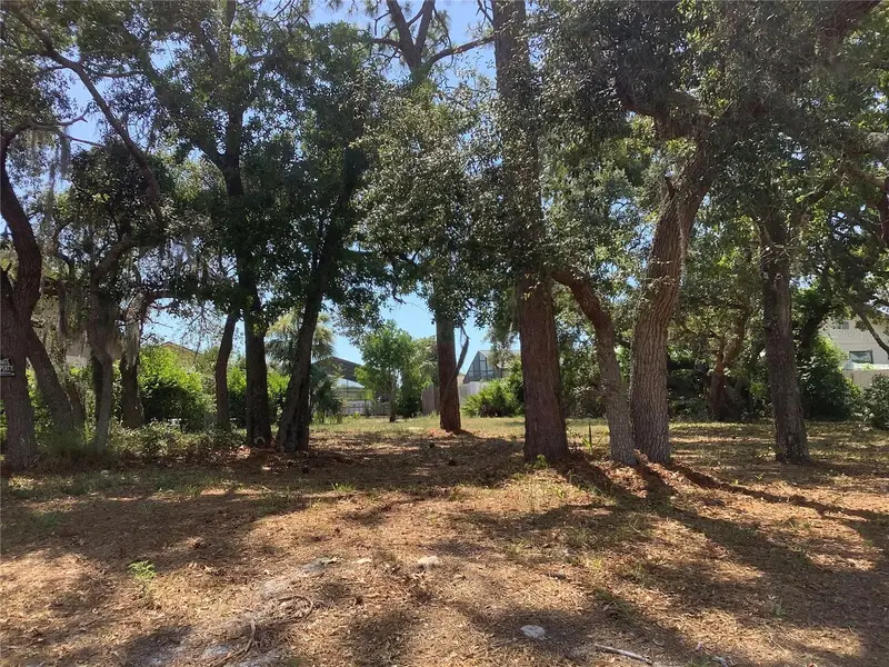 18657 White Pine Cir, FL