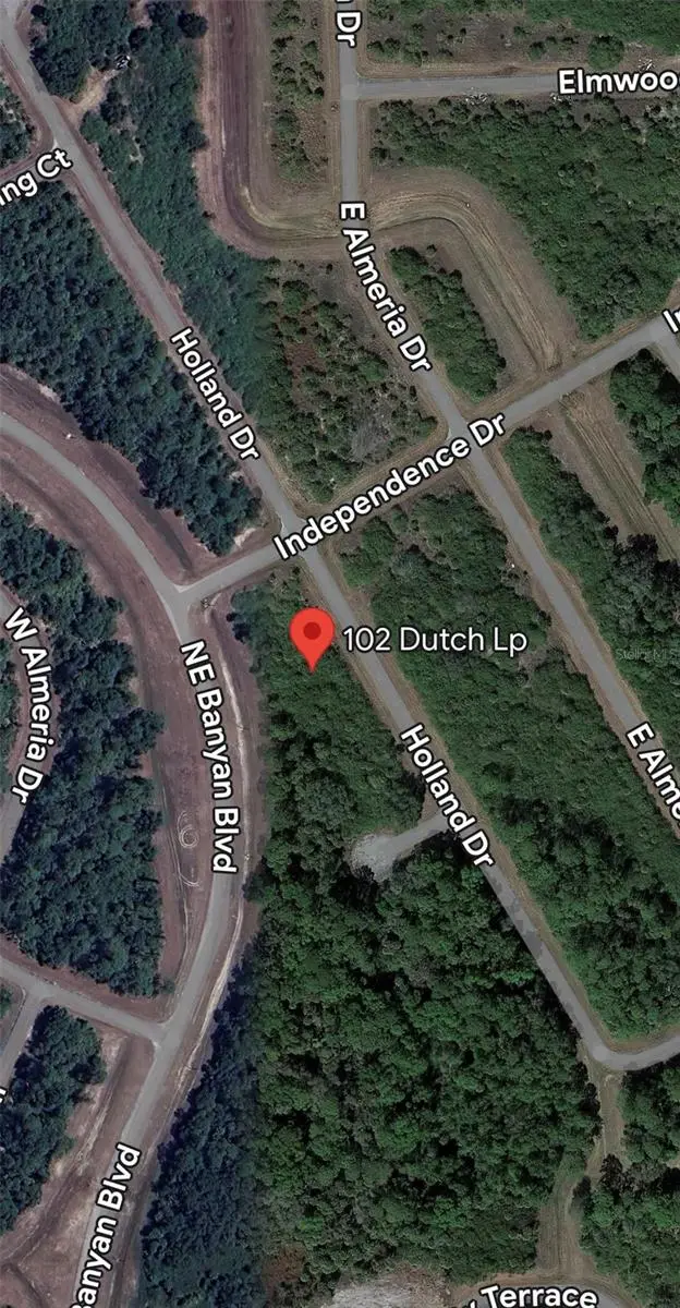 102 Dutch Loop, FL