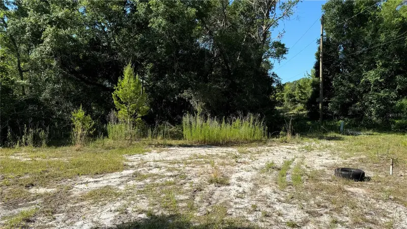 8045 Ne 307th Ave, FL