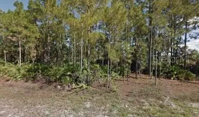 461 Lackey Ave S, FL