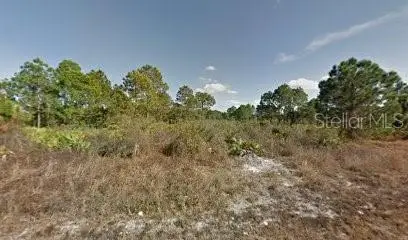 241 Nancy Ave S, FL