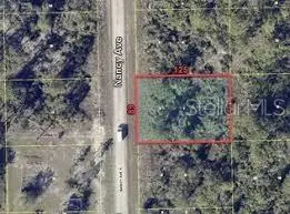 241 Nancy Ave S, FL