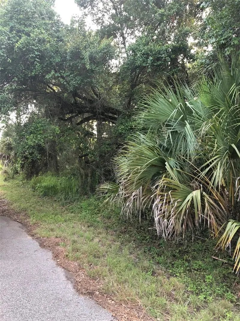 Carmelia St, FL