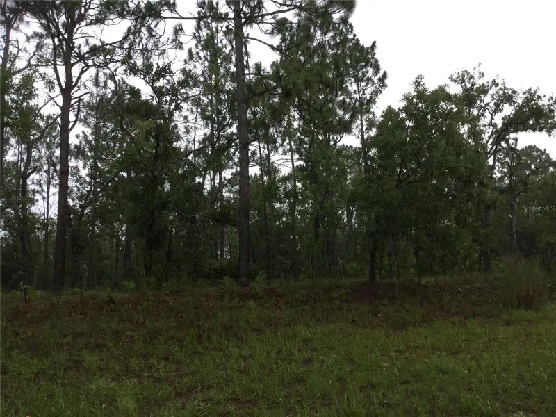 2191 W Citrus Springs Blvd, FL
