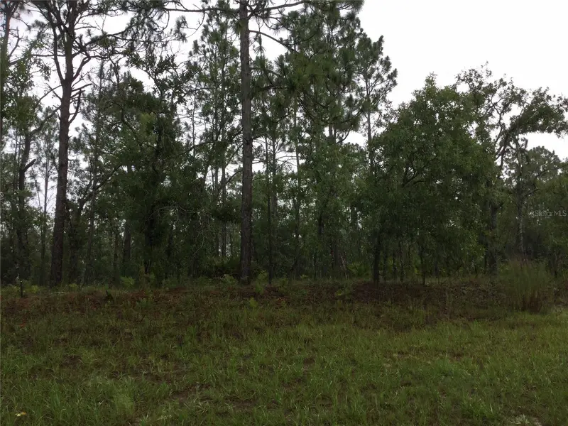 2191 W Citrus Springs Blvd, FL