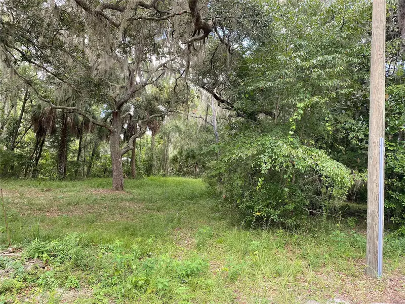 Cr 448c, FL