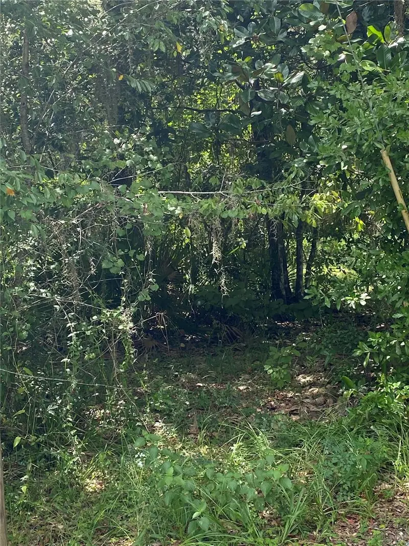 Cr 448c, FL