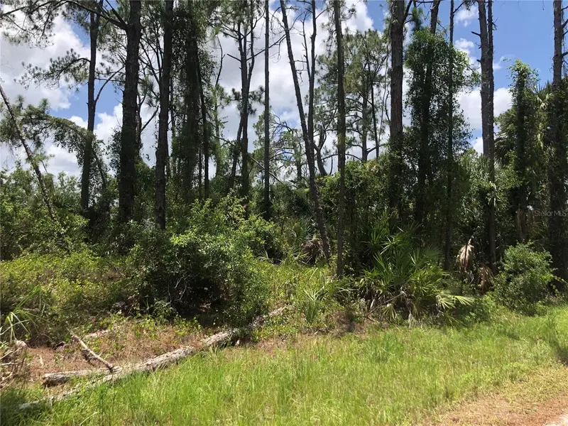 Apricola Rd, FL