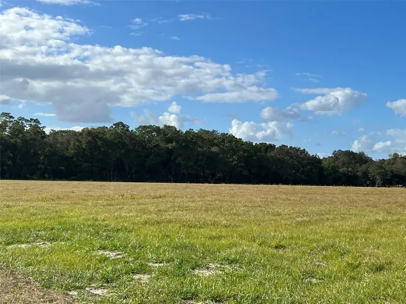 Tbd Se 170 Ave Rd #Tract A, FL