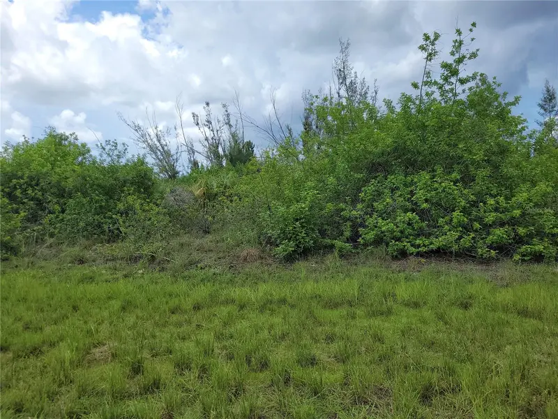 10136 Amy Ter, FL