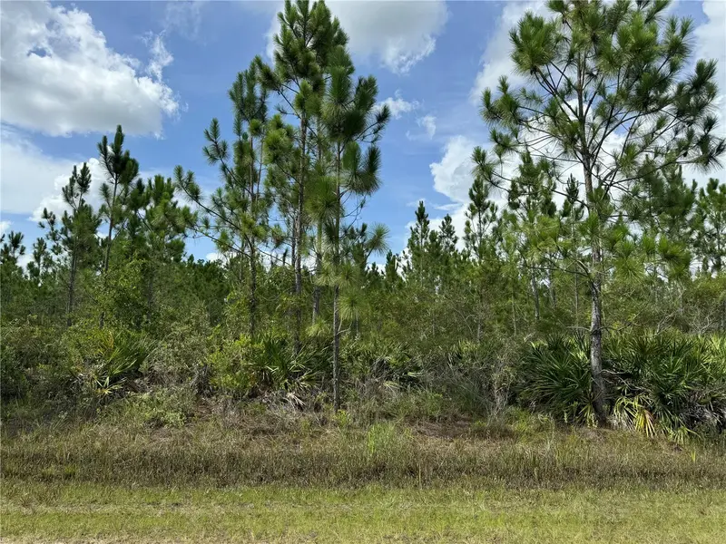 3621 Calendula Dr, FL