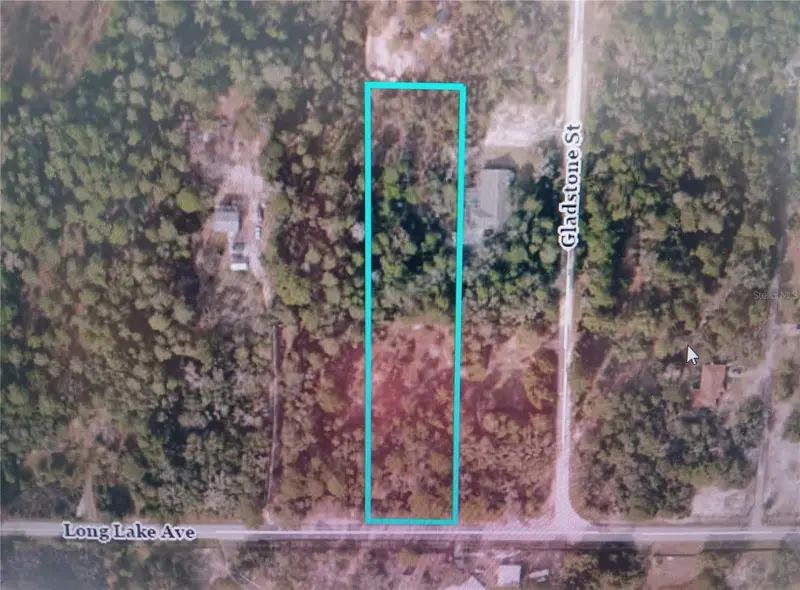 9167 Long Lake Ave, FL