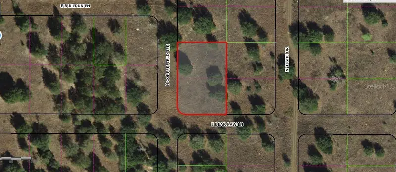 229 N Copperfield Ter, FL