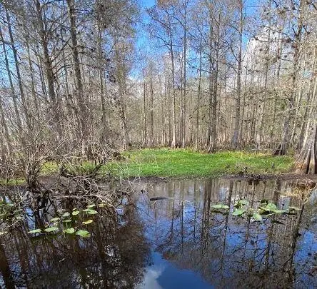 N/A, FL