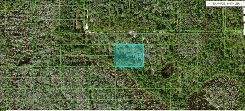 N/A, FL