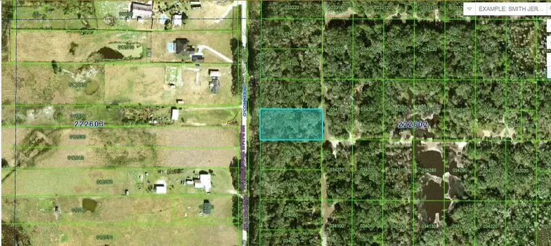Oconner Rd, FL