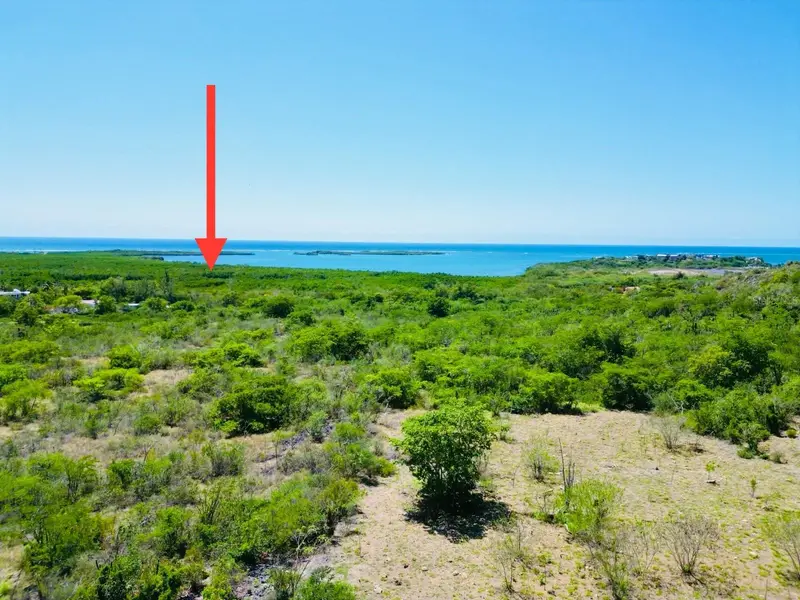 El Pitirre, PR