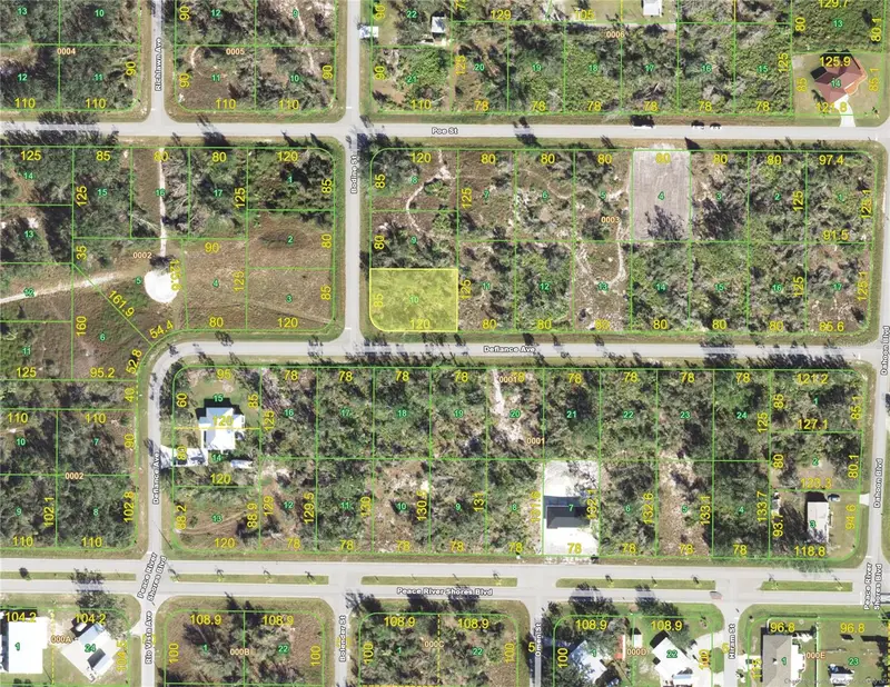 226 Bodine St, FL