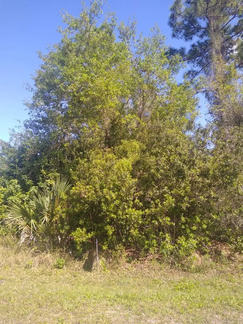 306 Mcdill Dr, FL