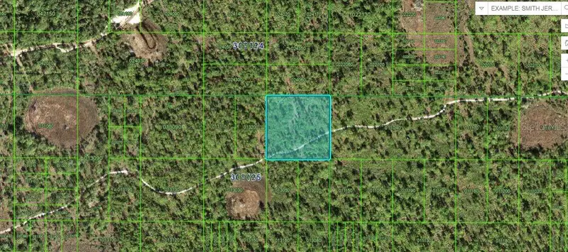 N/A, FL