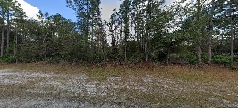 1103 Japonica Ave, FL
