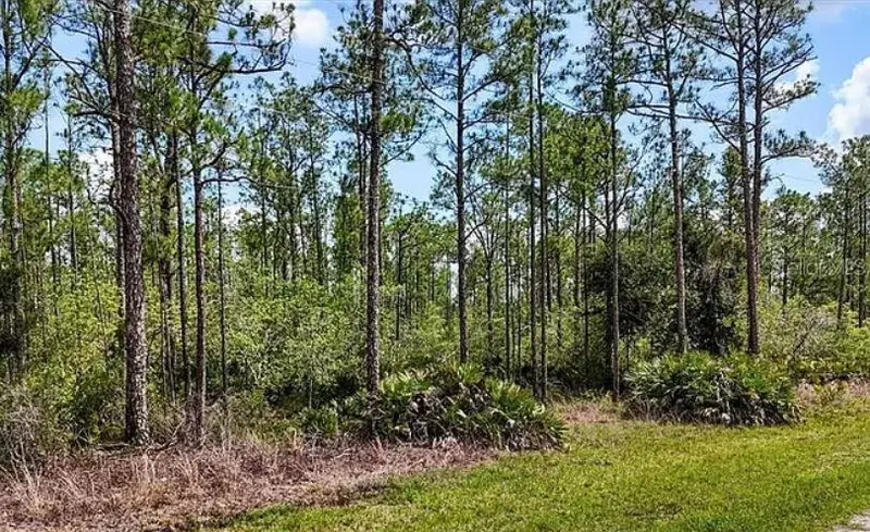 Oleander Dr, FL