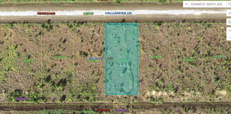 Calliandra Dr, FL