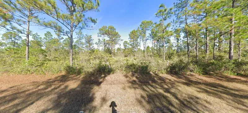 Calliandra Dr, FL