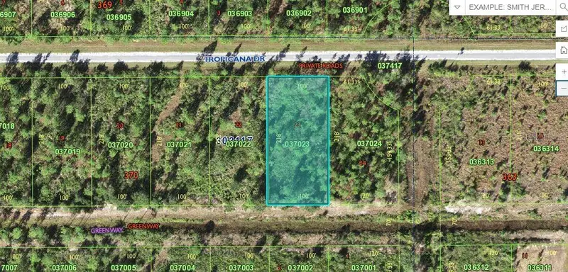 403 Tropicana Dr, FL