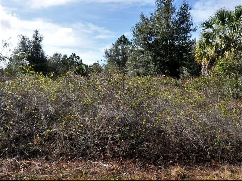 Newman Dr, FL
