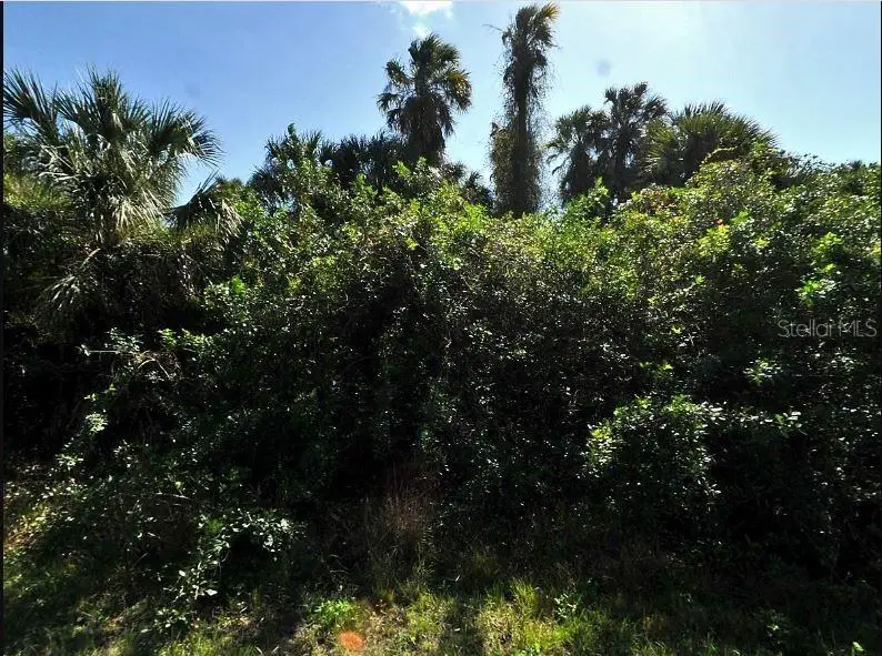 Newman Dr, FL