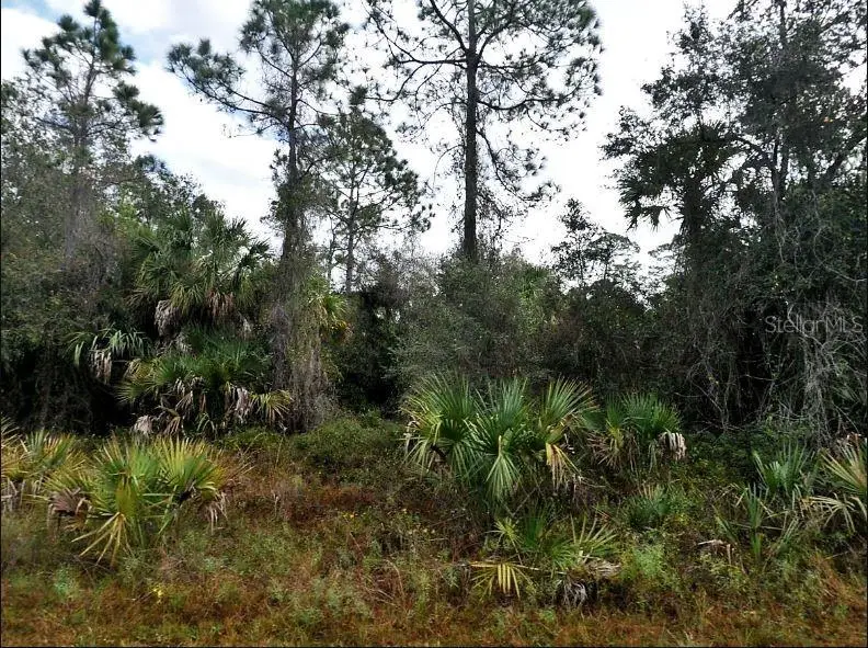 Ironside St, FL