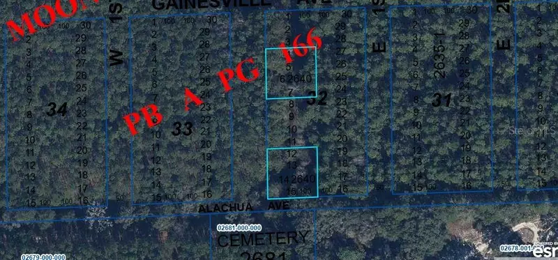 Gainesville Ave, FL