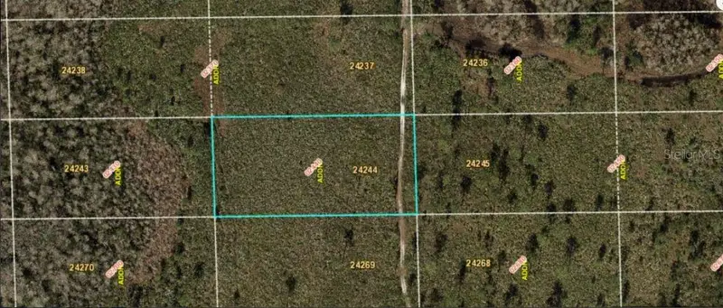 Dill Rd, FL