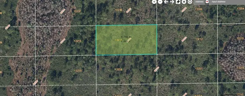 Dill Rd, FL
