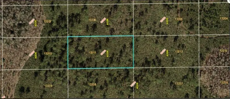 Dill Rd, FL