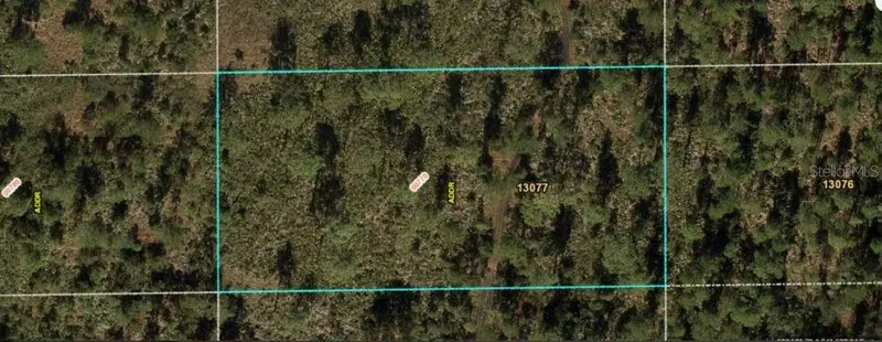 Dill Rd, FL