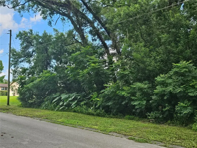 N Carpenter Ave, FL
