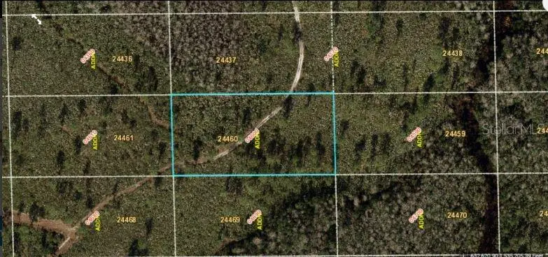 Dill Rd, FL