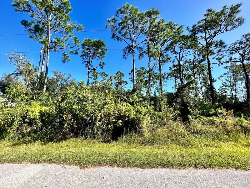 12338 Catalina Dr, FL