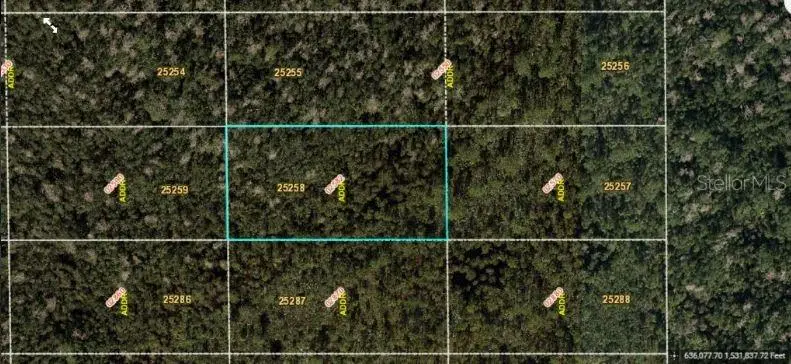 Dill Rd, FL