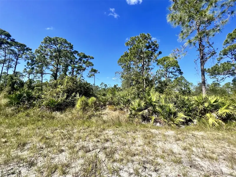 12247 Catridge Cir, FL